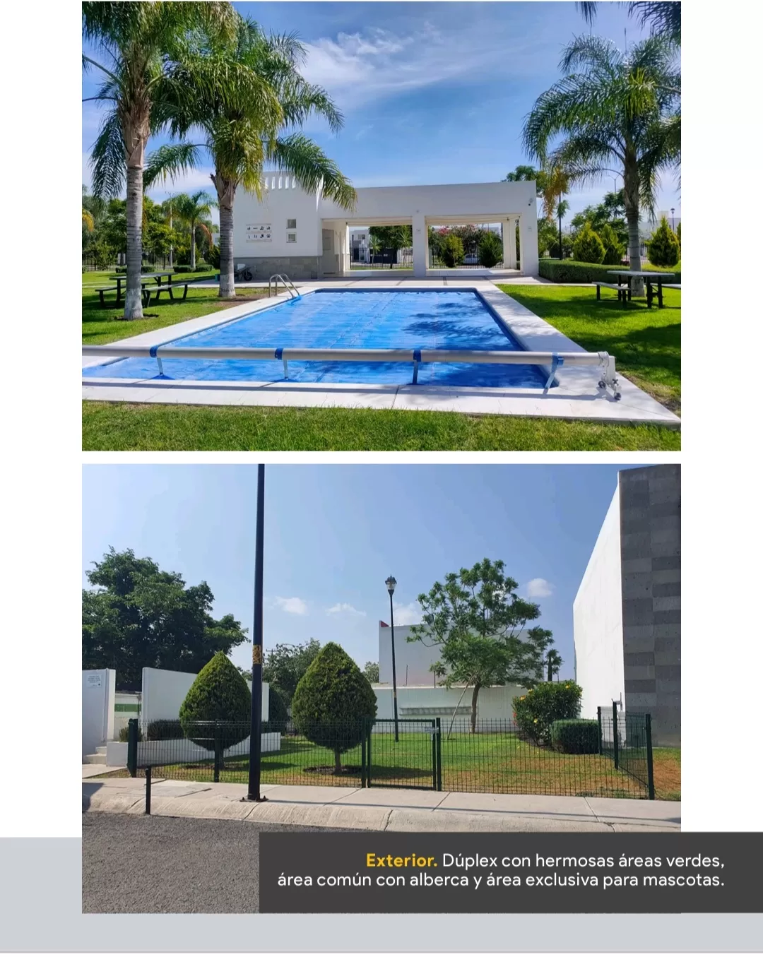 Venta Departamento Paseos